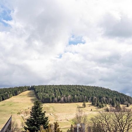 Haus Bergruh Kuckucksnest Lejlighed Todtnauberg Eksteriør billede